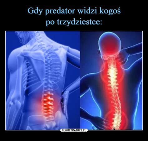 Gdy predator widzi kogoś po trzydziestce Demotywatory pl