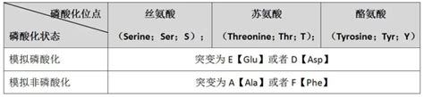 “独家秘笈”｜蛋白磷酸化攻略大全 知乎