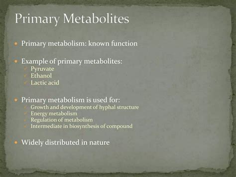 Secondary metabolism | PPTX