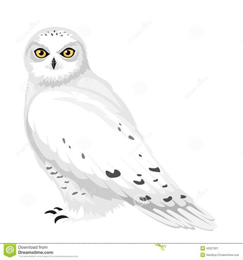 Snowy owl clipart - Clipground