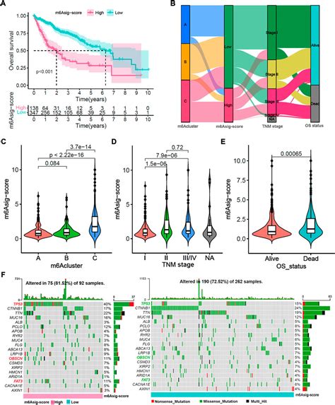 Frontiers Construction Of M6a Based Prognosis Signature And