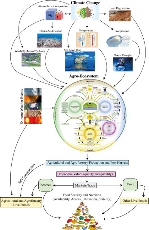 Frontiers Uncovering The Research Gaps To Alleviate The Negative