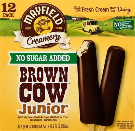 Mayfield Brown Cow Juniors No Sugar Added Vanilla Chocolate Dipped