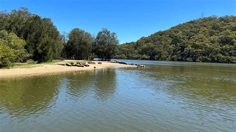 creeks  tributaries   georges river georges riverkeeper