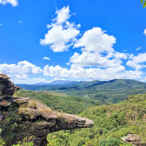 Parque Natural Municipal Das Andorinhas Biologia Da Paisagem