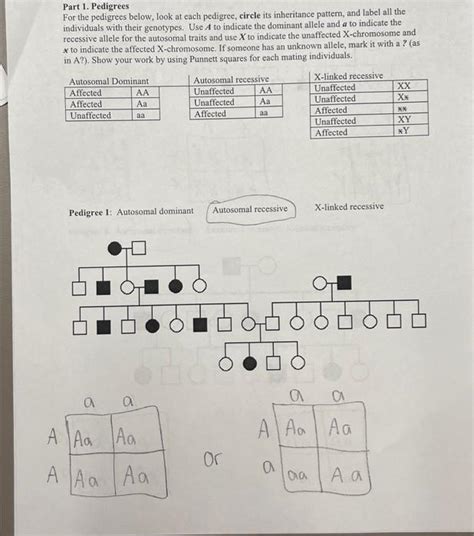 Solved Part Pedigrees For The Pedigrees Below Look At Chegg