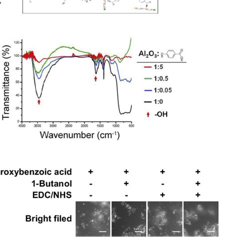 Surface Modification Of α Al 2 O 3 Nanoparticles A Schematic Diagram