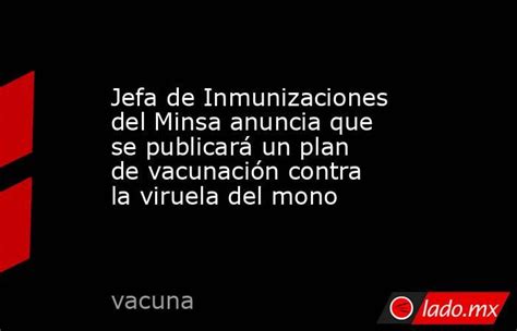 Jefa De Inmunizaciones Del Minsa Anuncia Que Se Publicará Un Plan De