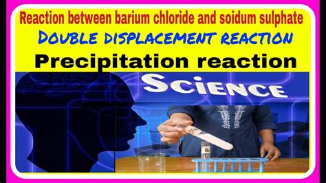 Reaction Between Barium Chloride And Sodium Sulphate Solutions Double Displacement Reaction