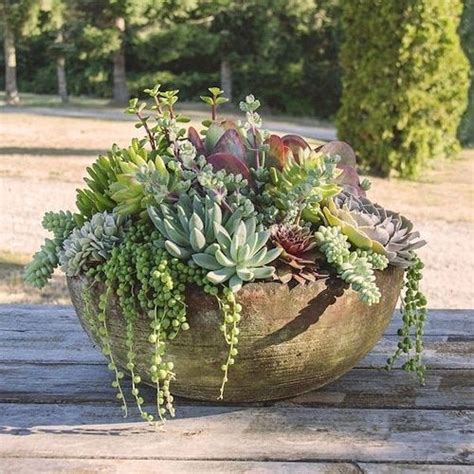 How To Plant Succulents Outdoors In Containers Outdoor Lighting Ideas