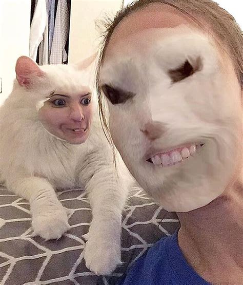 Cat Face Swaps You Ll Wish You Could Unsee