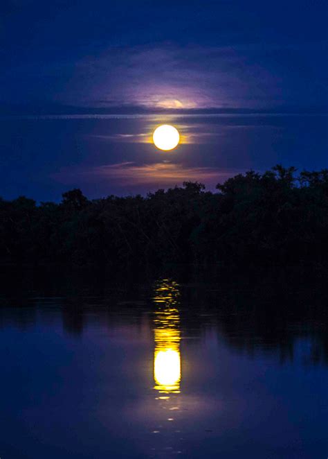 Es F Cil Fotografiar La Luna Si Sabes C Mo