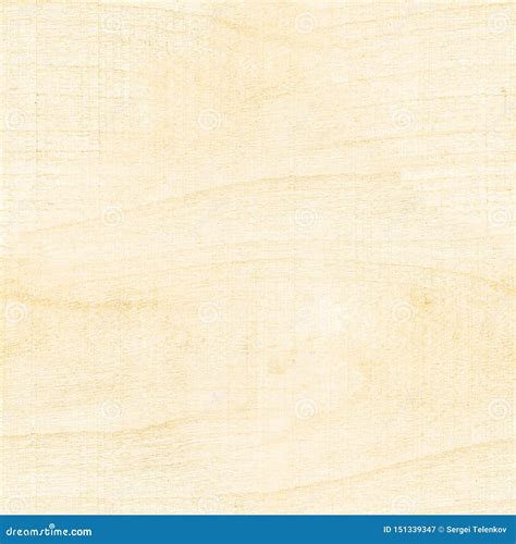 Seamless Texture Natural Light Wood Light Color Solid Seamless Wood