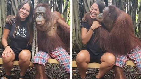 Monkey Totally Falls In Love With Woman After Taking Pictures Together