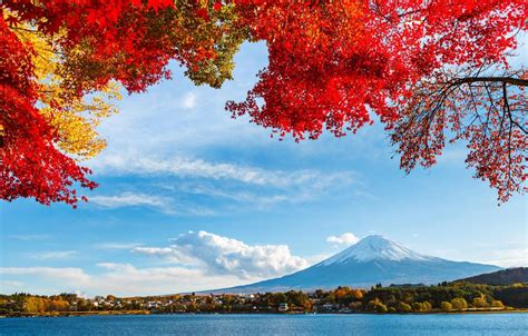 Autumn Japan Wallpapers - Wallpaper Cave