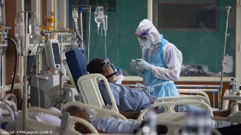 Kerala In Preda Al Panico Il Ritorno Del Letale Virus Nipah In India