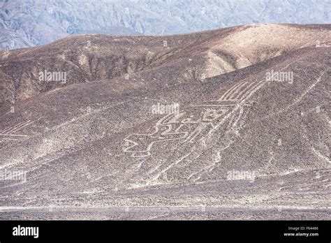 Palpa Lines And Geoglyphs Peru Stock Photo Alamy