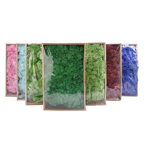 Nameimmortal Moss Material Resin Coloras Pictures Package20gpack