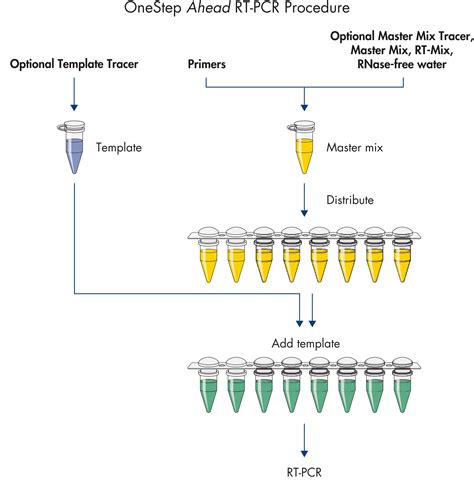 Qiagen Onestep Ahead Rt Pcr Kit