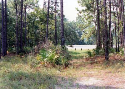 Nature Trails Images | UNF Nature Trails | University of North Florida