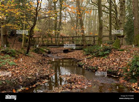 Bridge Over Stream Stout Wooden Bridge Over A Trickling Stream Autumn