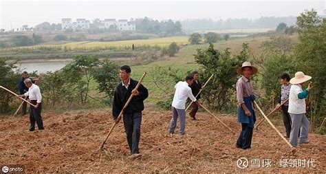 土地流转、土地托管和土地入股，3种模式，哪种更适合农民？ 在很多农民看来，土地流转是吃力自家闲置土地的一个良好的方式，每年能获得固定的租金，但实际上处理土地的方式还有土地托管和土 雪球