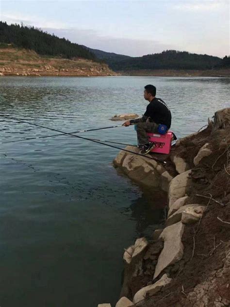 野釣鯉魚必選的3個釣位 每日頭條