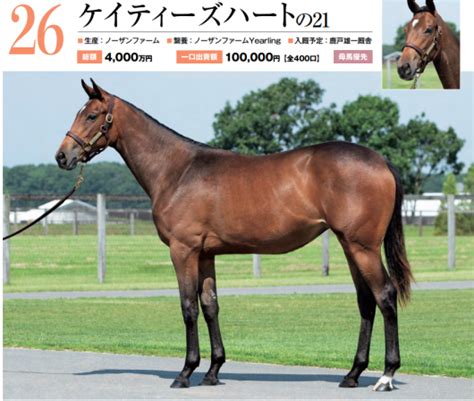 2022年 キャロットクラブ募集馬 新規検討③関東牝馬 Kuros Room