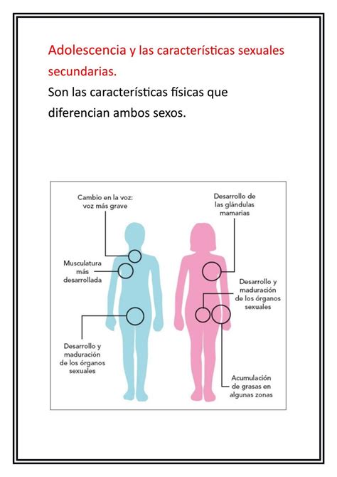 Hacer Clic En Segundo Lugar Insignificante Cuales Son Las