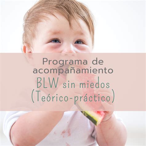 Curso De Alimentaci N Complementaria Y Blw Te Rico Pr Ctico