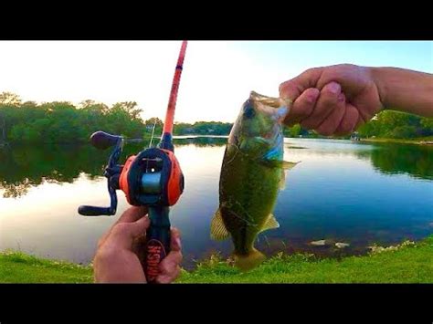 Bass Fishing Neighborhood Ponds May Bass Fishing Bass Manager The