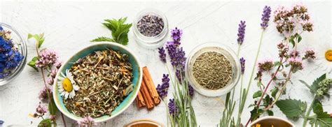 Your Ultimate Guide To The Top 25 Herbal Medicines Holland Barrett