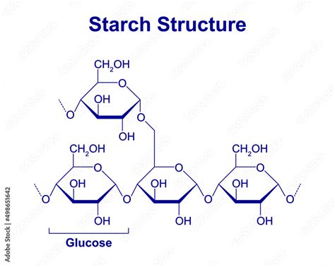 Starch Molecule Chemical Structure Vector Illustration Stock Vector