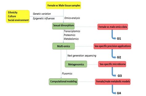 Analyzing How Sex And Gender Interact Gendered Innovations