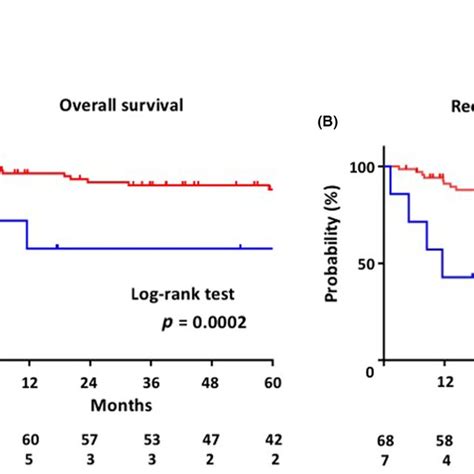 Kaplanmeier Survival Curves According To The Ctnnb Status In All