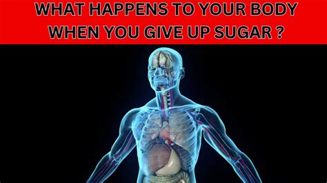 What Happens To Your Body When You Give Up Sugar YouTube