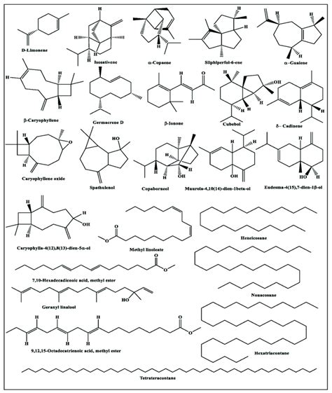 Major Components Identified In The Essential Oils Obtained From J Download Scientific Diagram