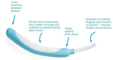 Buy Purewick Female External Catheter Purewick Catheter