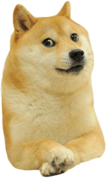 doge Blank Template - Imgflip