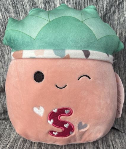 Abena The Succulent Squishmallow 8” Ebay