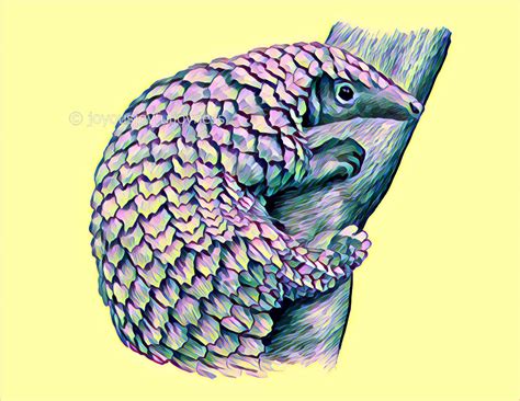 My pangolin art : r/pangolinappreciation