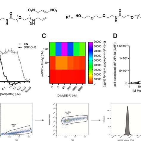 Bifunctional Mode A Molecule Design And Chemical Structures A Proposed