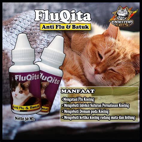 Jual Fluqita Obat Flu Kucing Obat Flu Batuk Kucing Anti Flu Pilek Beler