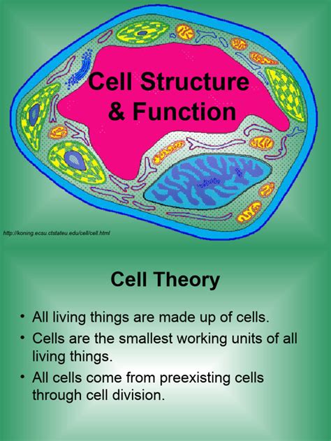 Cell Structure Function | PDF