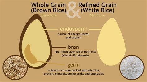 Brown Rice vs White Rice: Which one is Healthier?