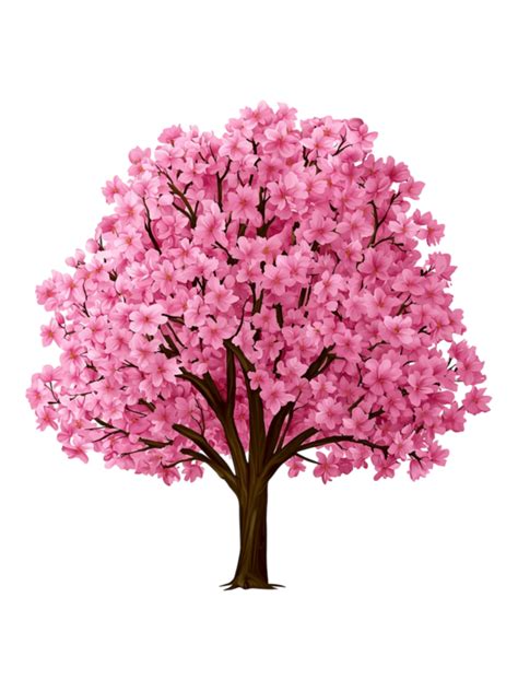 Beautiful Pink Cherry Blossom Tree 53718791 Png