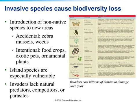 PPT - Biodiversity Loss and Species Extinction PowerPoint Presentation ...