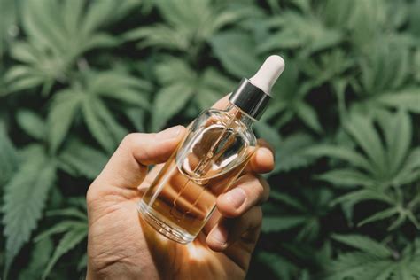 CBD Öl Das solltet ihr über das Trendprodukt wissen