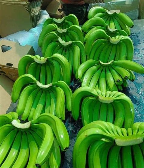 A Grade Cavendish Banana G9 Packaging Size 13 5 Kg Packaging Type