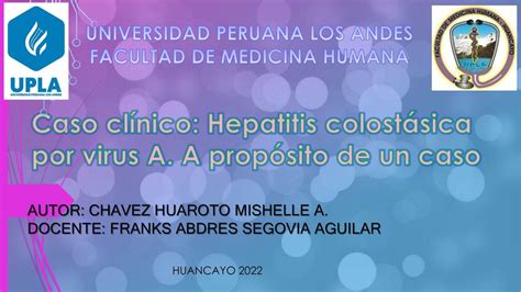 Caso Cl Nico Virus Hepatitis A Mishelle Chavez Udocz